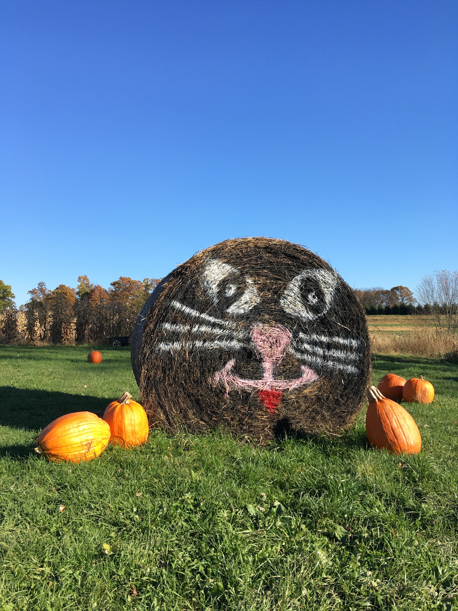 Schramm's Farm Market