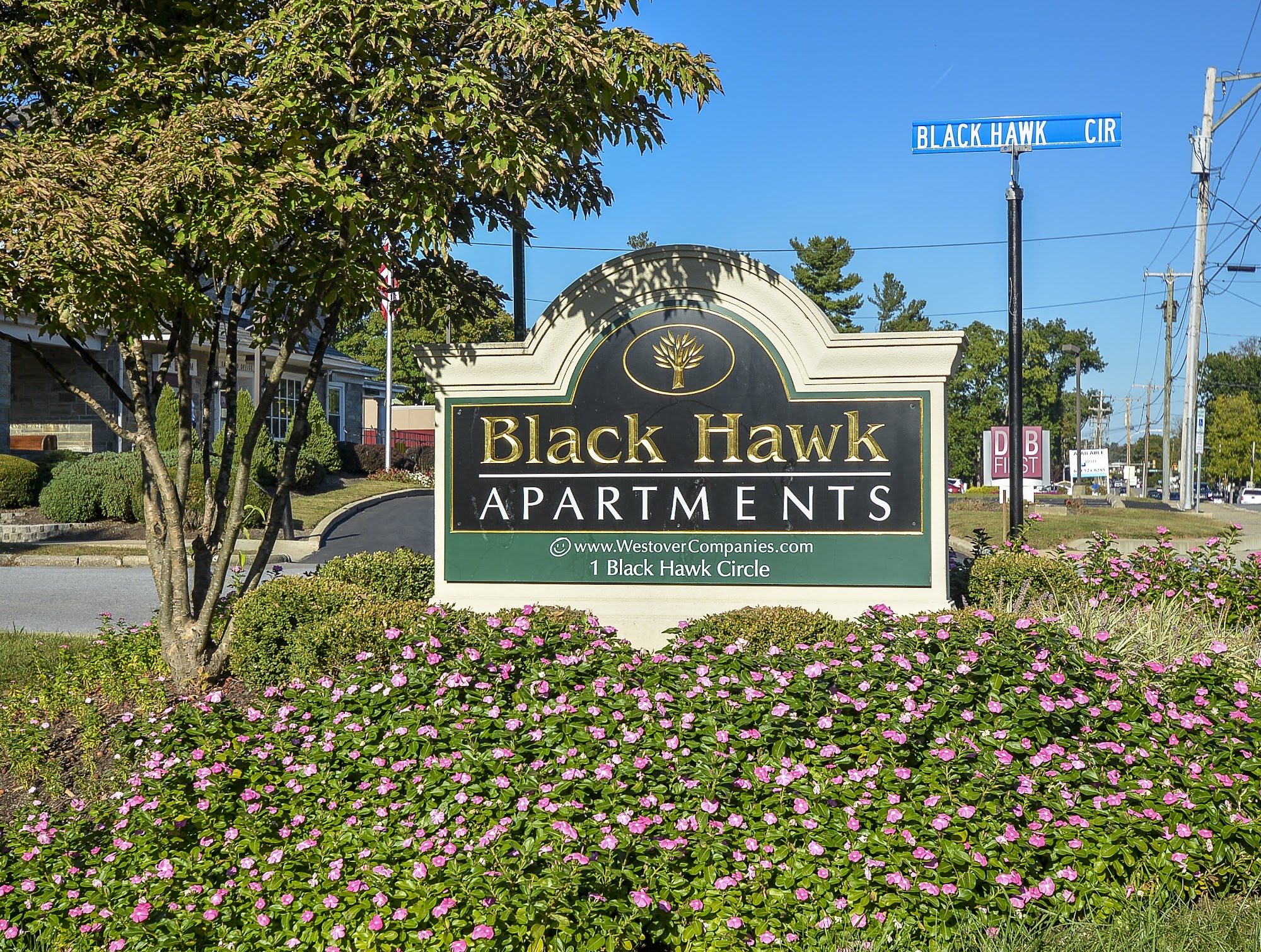 Black Hawk Apartments