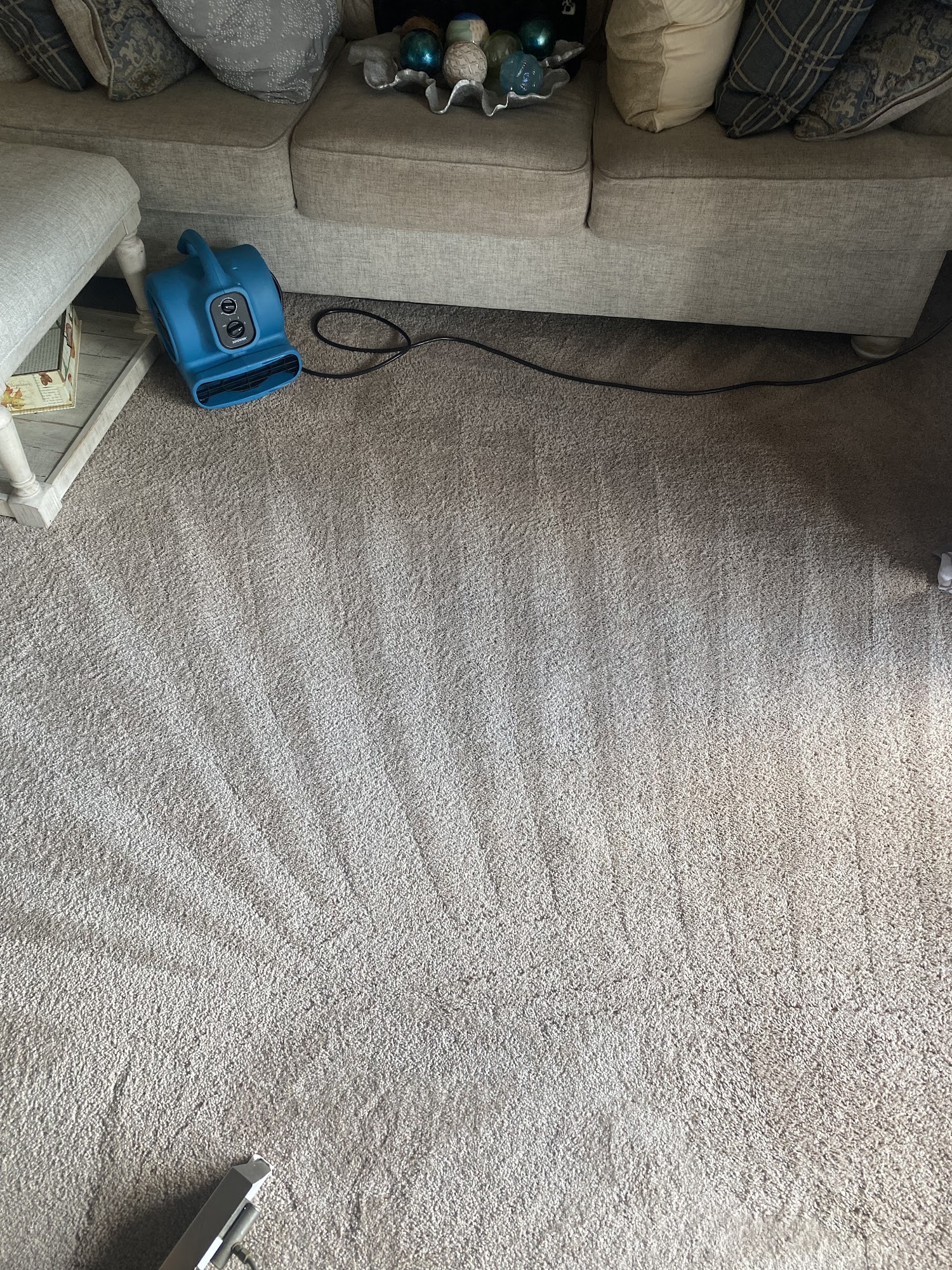 Super Steamer Carpet Cleaner