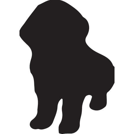 PawKeepers Dog DayCare Duncansville