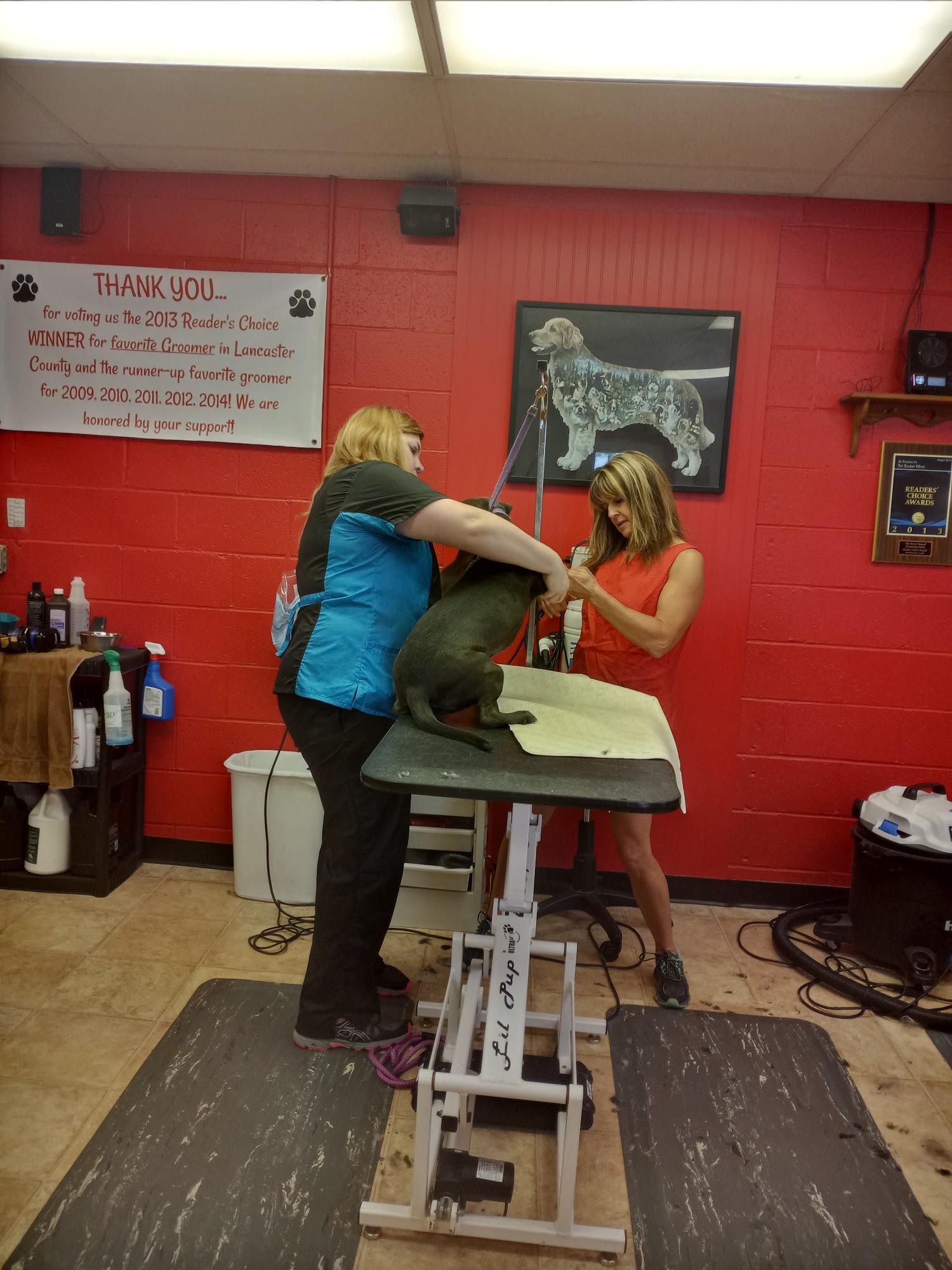 Foxy Hound Grooming Salon Ephrata