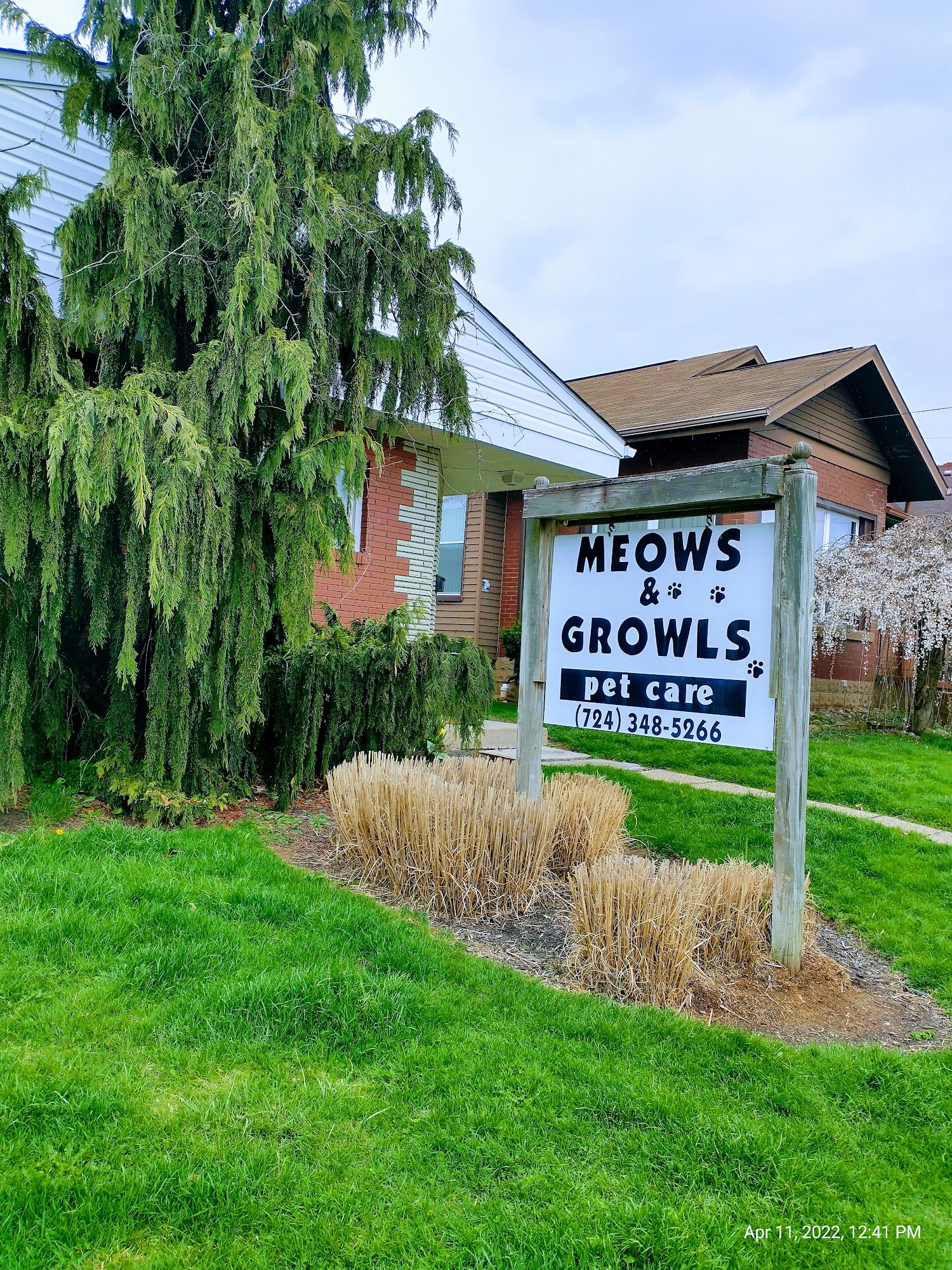 Meows & Growls 3517 Lincoln Ave, Finleyville Pennsylvania 15332