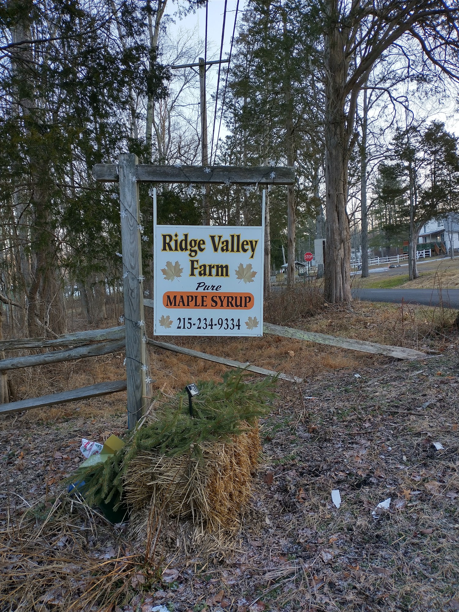 Ridge Valley Farms Maple Syrup 287 Camp Green Lane Rd, Green Lane Pennsylvania 18054