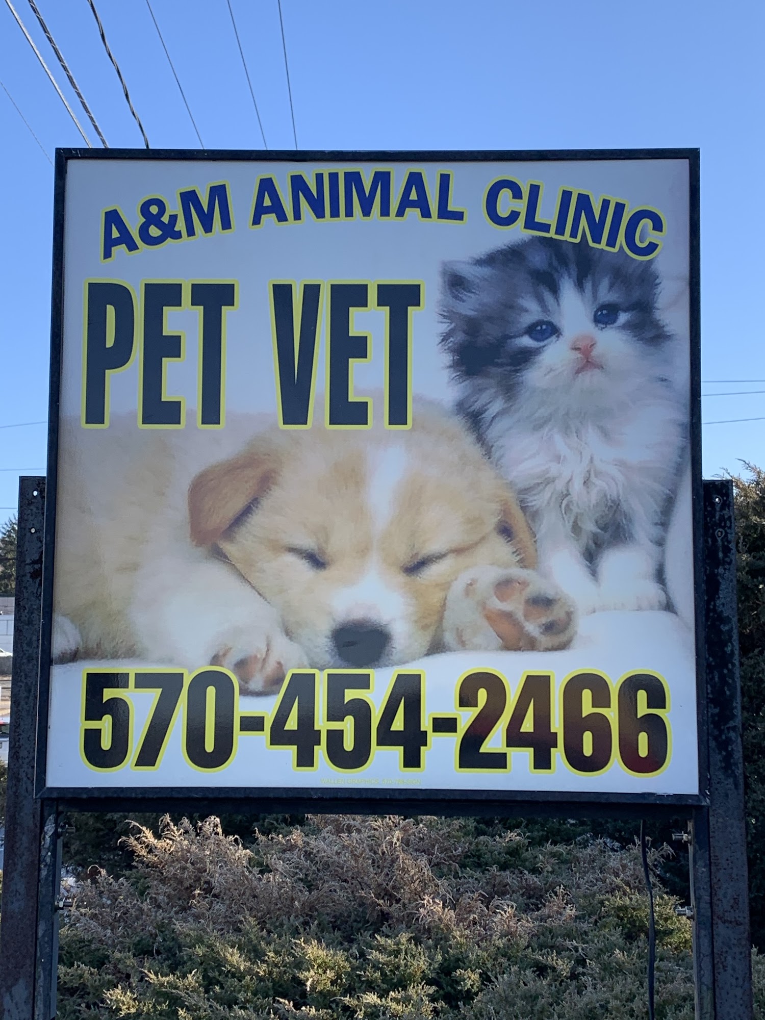 A&M Animal Clinic 1040 North Church Street, Hazle  Pennsylvania 18202