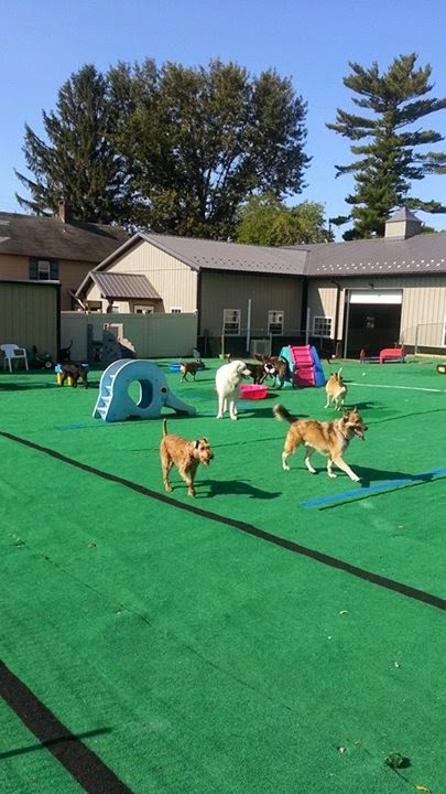 A Furry Tail Come True Hellertown