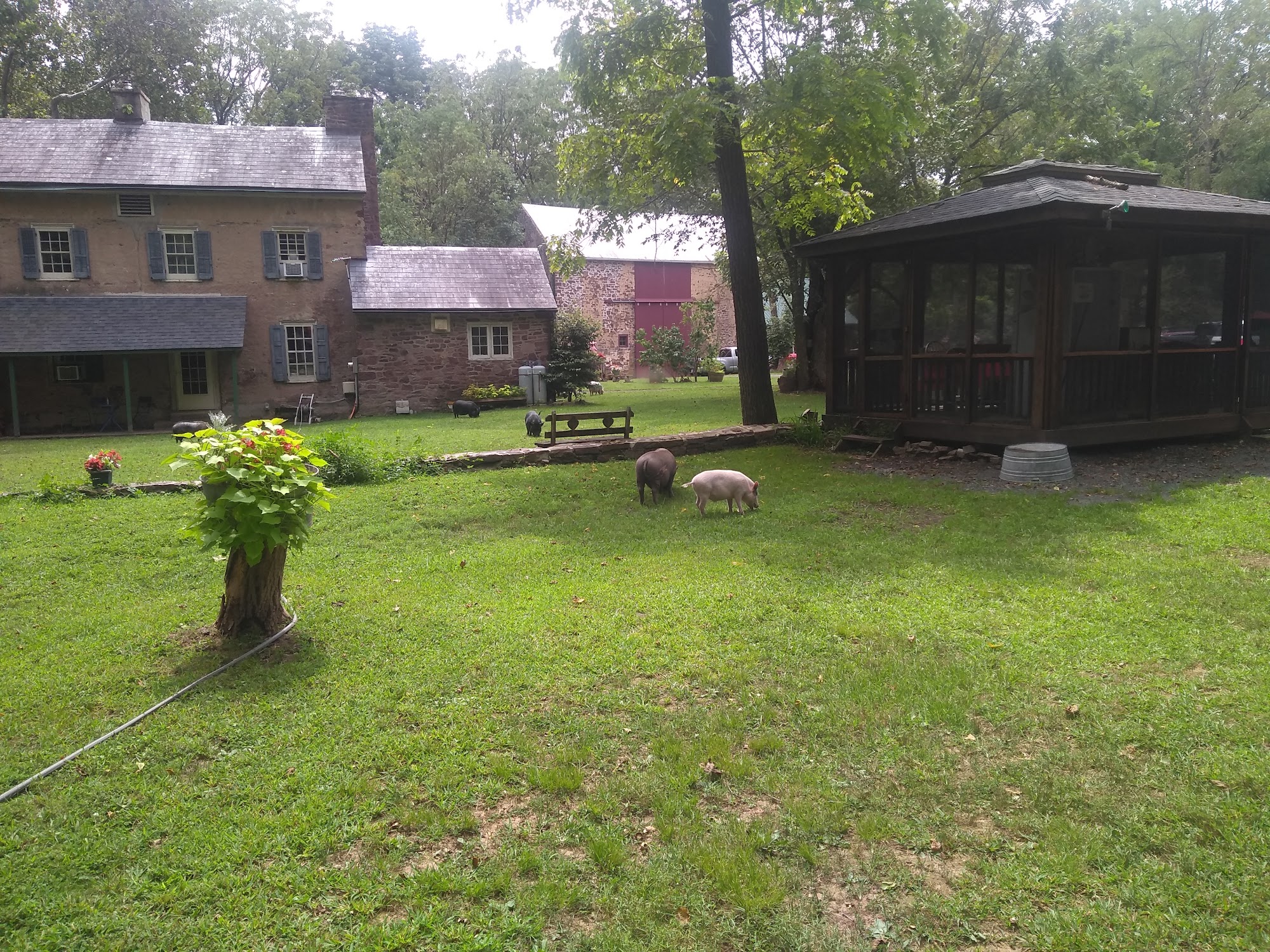 Ross Mill Farm Inc Jamison