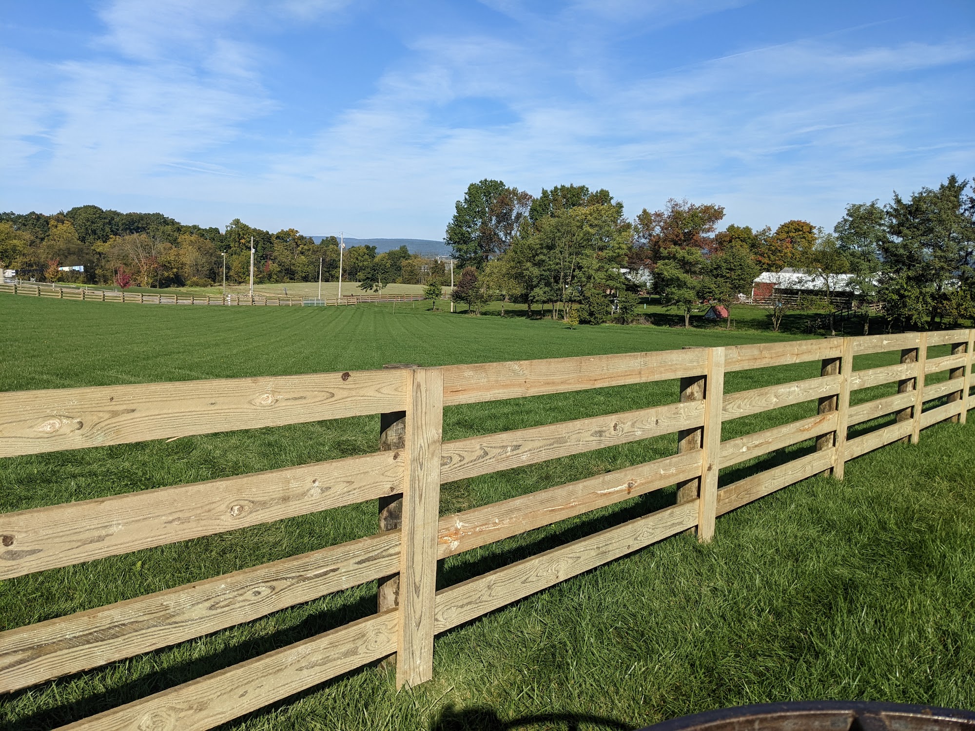 Evergreen Fence