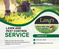 Lang's Lawn-Tree and Pest Control