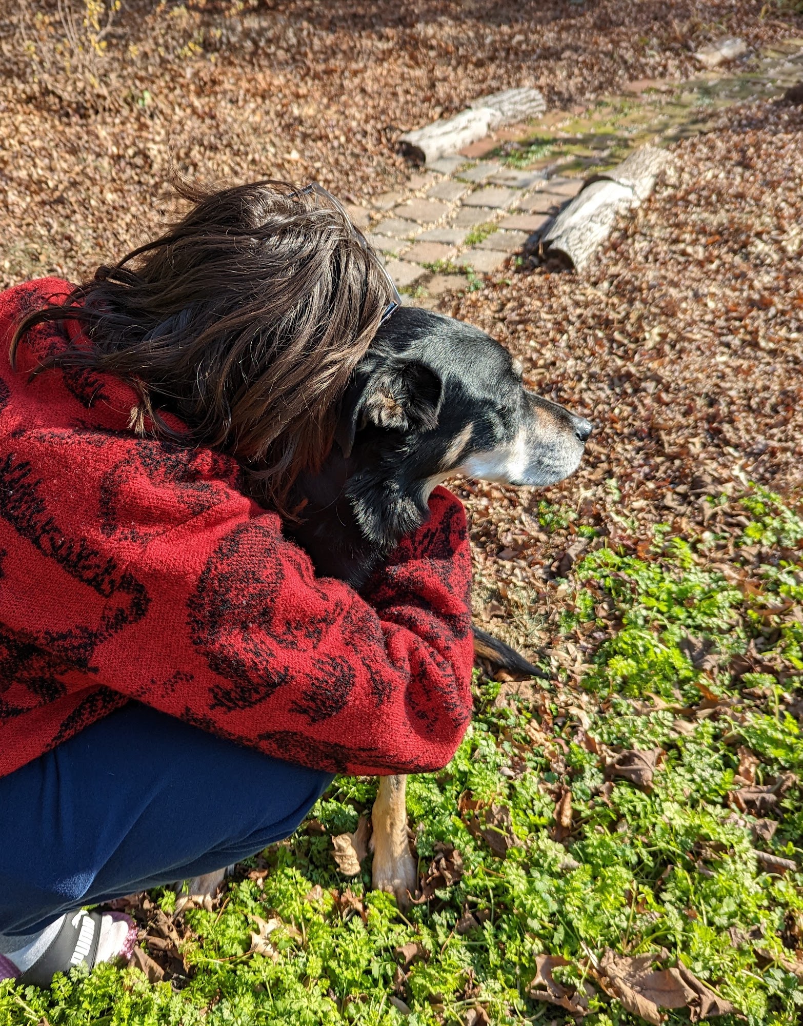 Peaceful Pet Passage Mechanicsburg