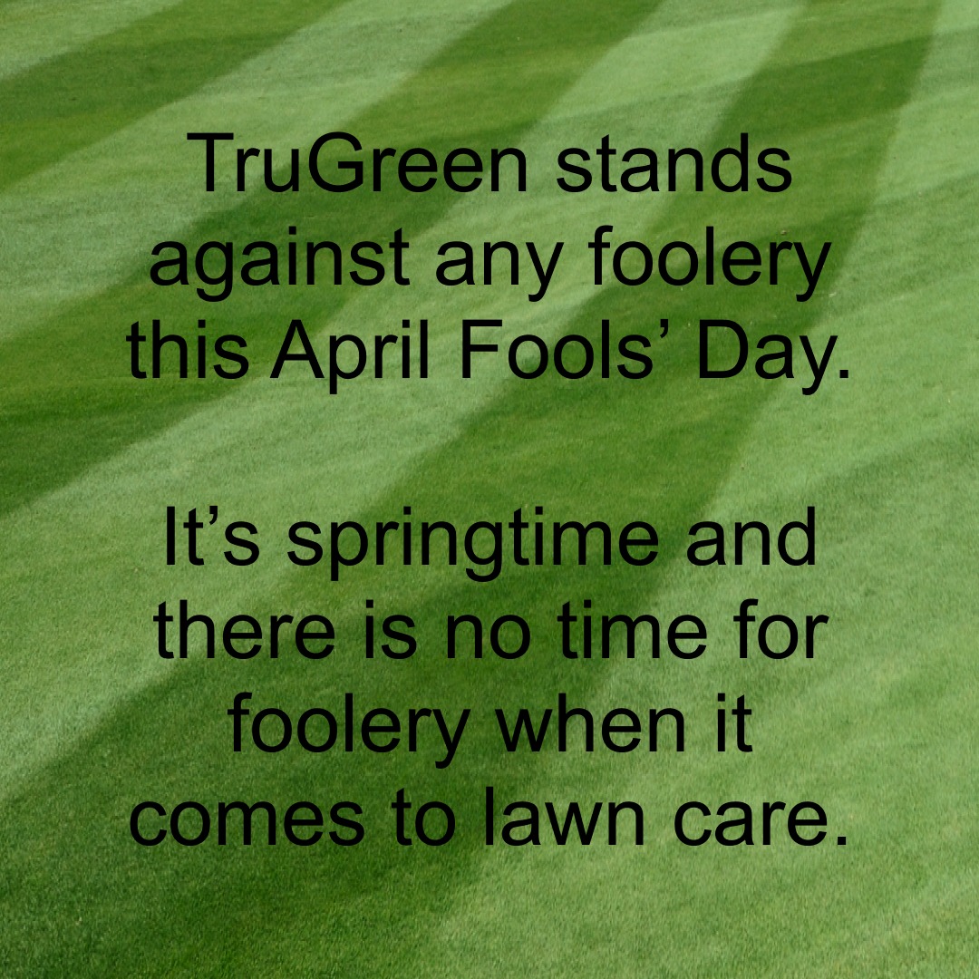 TruGreen Lawn Care 5967 Nittany Valley Dr, Mill Hall Pennsylvania 17751