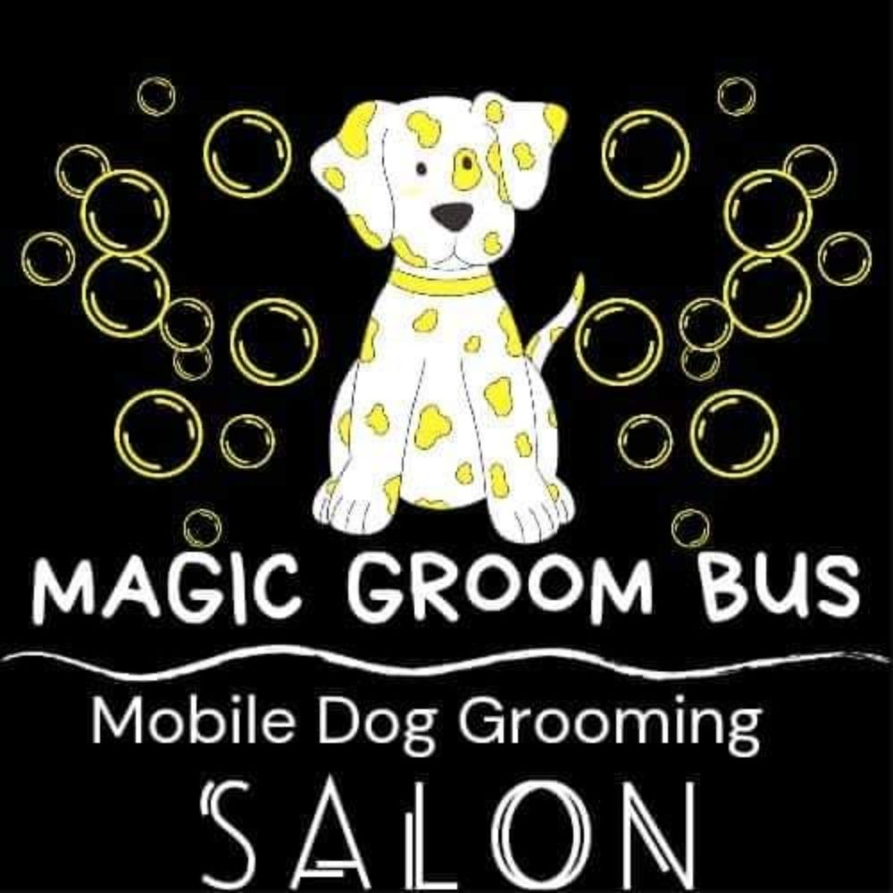 The Magic Groom Bus 1424 Reading Rd, Mohnton Pennsylvania 19540