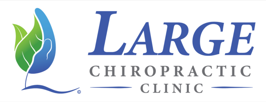 Dr. Large Chiropractor/Large Chiropractic Clinic 3572 Brodhead Rd # 301, Monaca Pennsylvania 15061