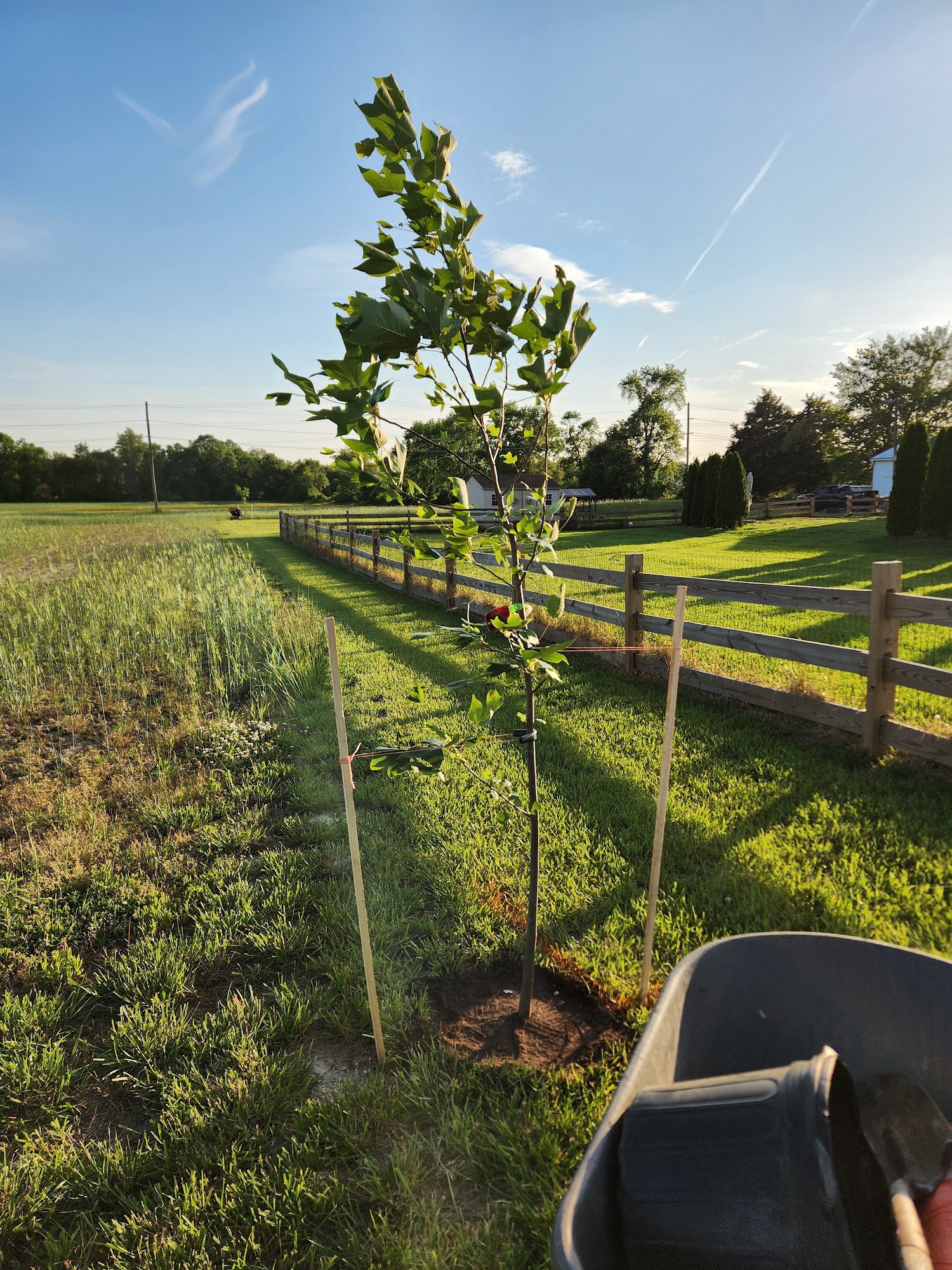 G M Landscaping