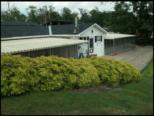 Country Road Kennels 114 Spring Run Road Extension, Moon Pennsylvania 15108