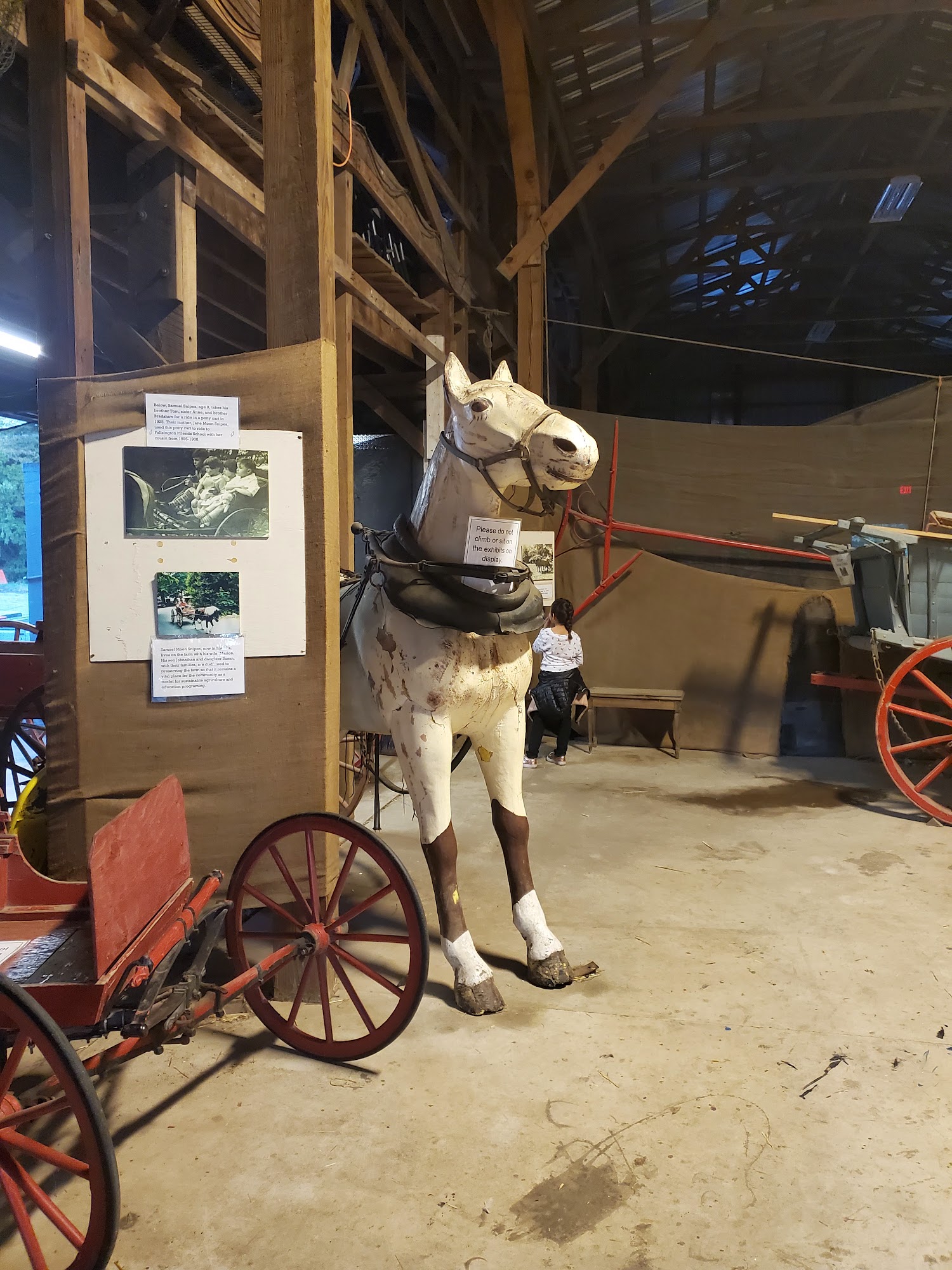 Four Paws Inc Morrisville