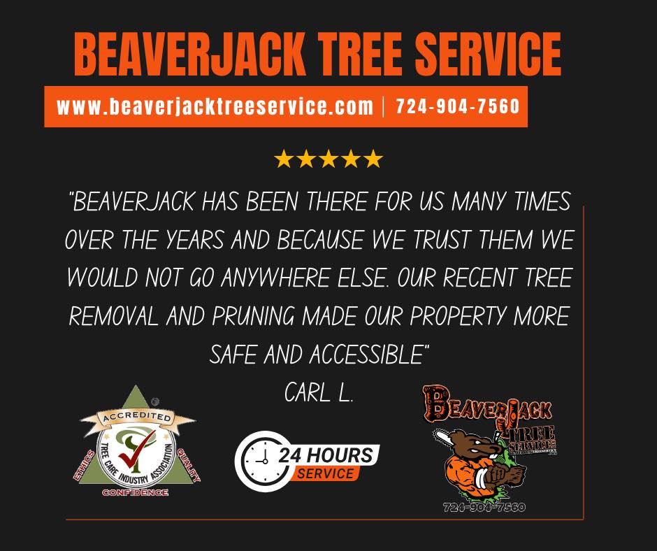 BeaverJack Tree Service, LLC 2418 Freeport Rd, Natrona Heights Pennsylvania 15065