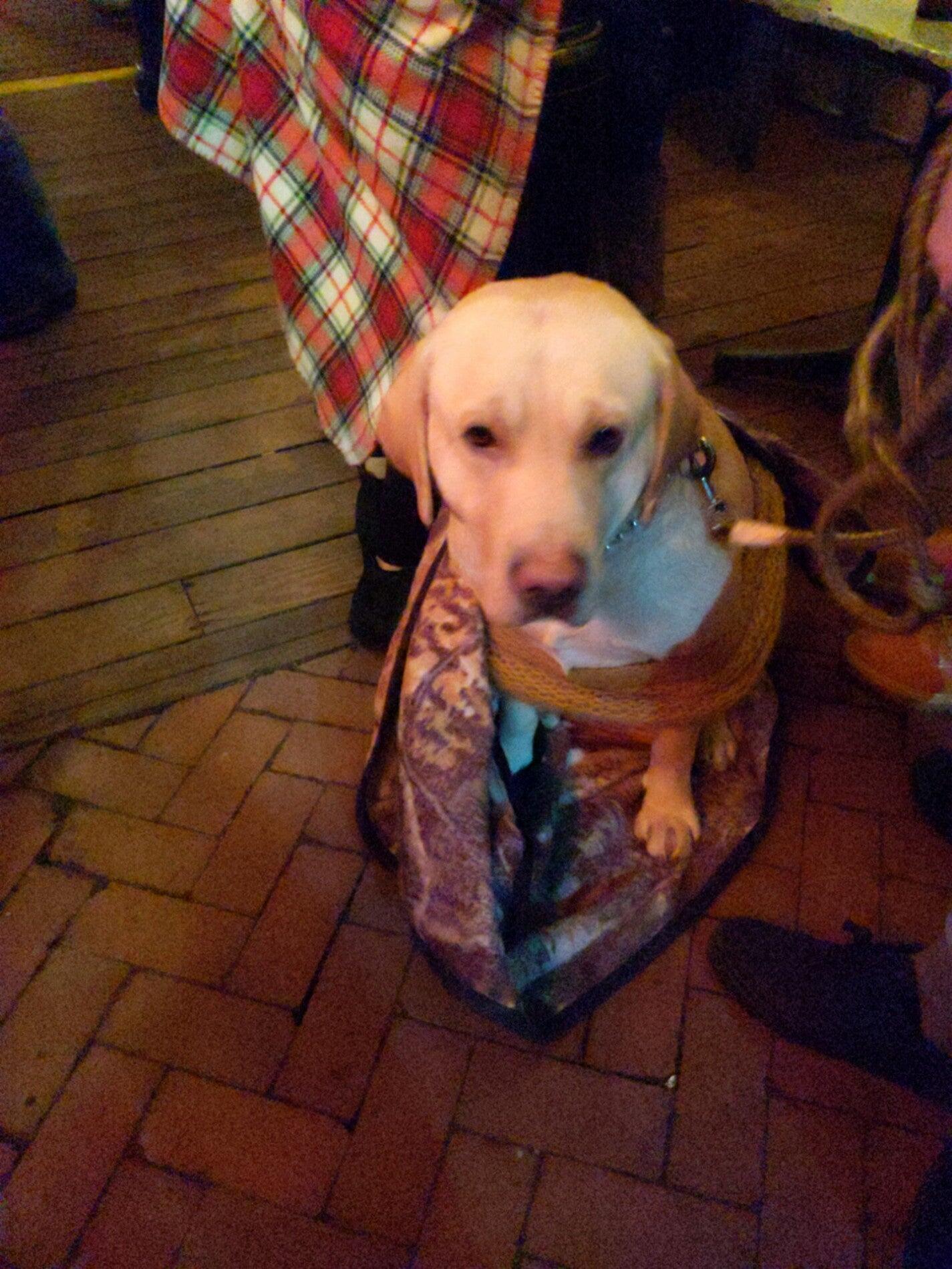Photo credit: nextdoor