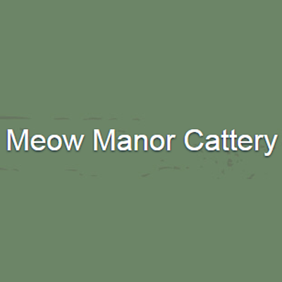 Meow Manor Cattery 135 Post Ave, New Stanton Pennsylvania 15672