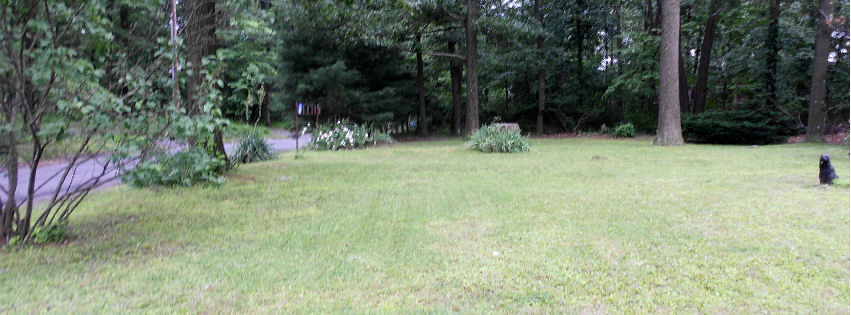 Forget-Me-Not pet grooming New Tripoli