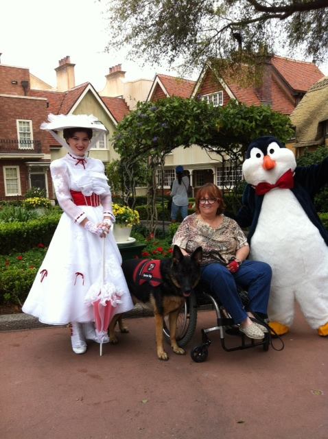 Designing Dogs Old Forge