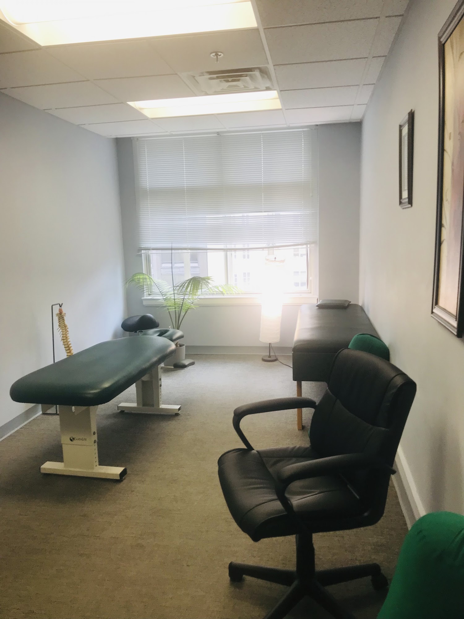 Dr. Paul Rubin's Chiropractic and Wellness Center