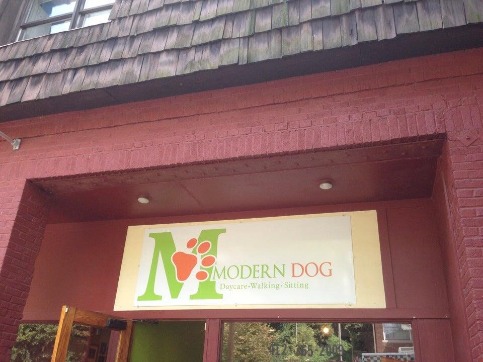 Modern Dog Pittsburgh