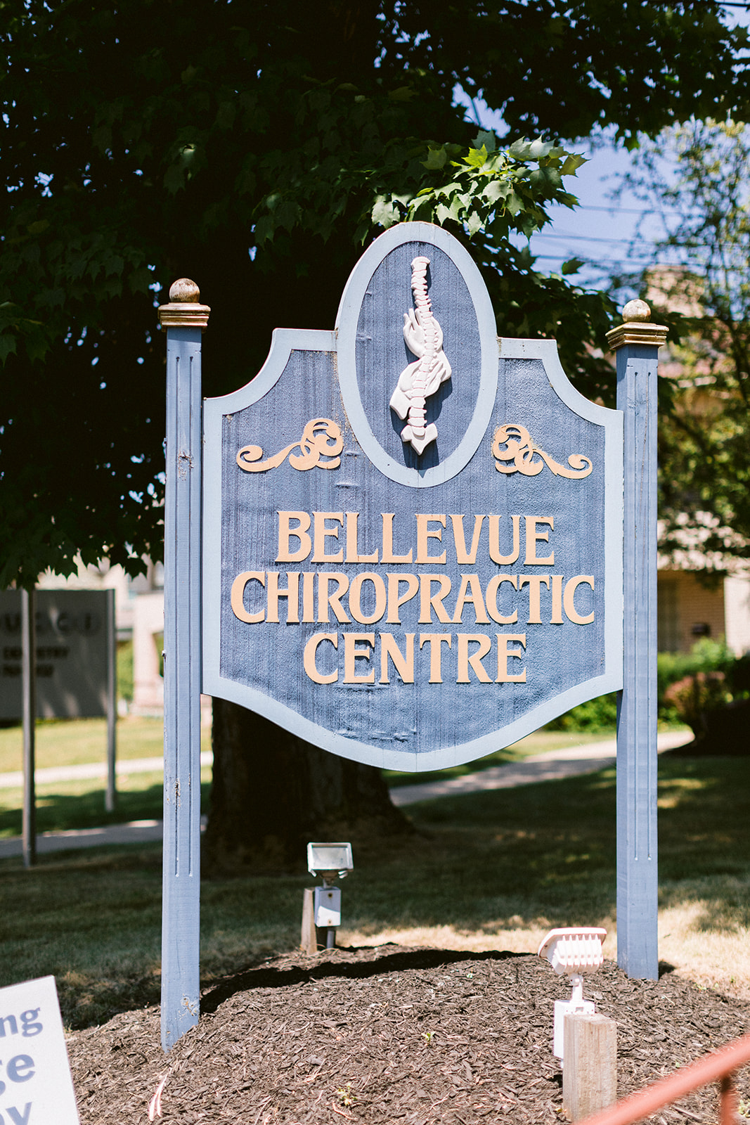 Bellevue Chiropractic Centre