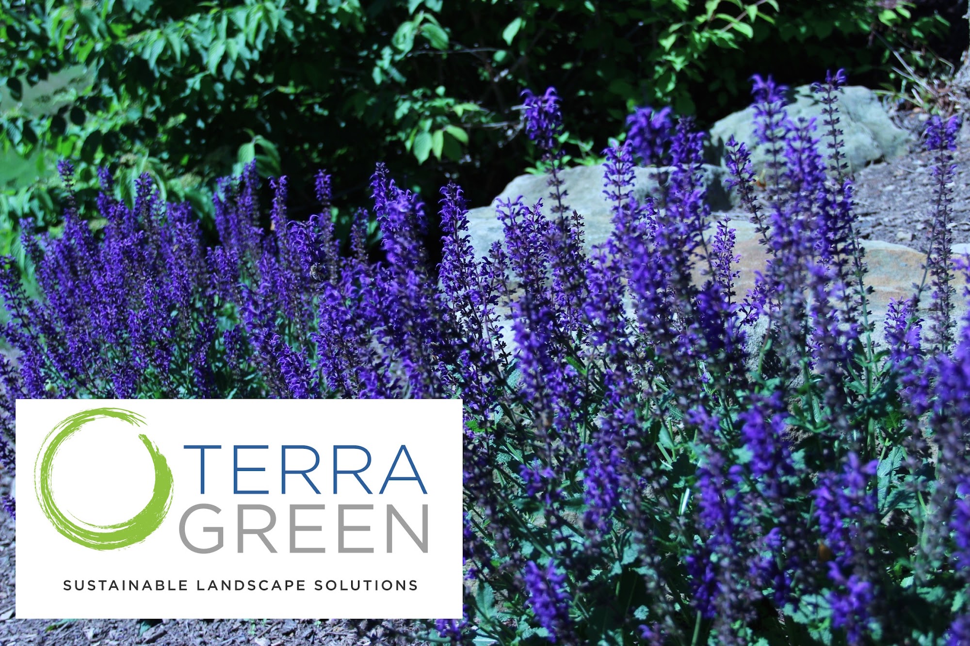 TerraGreen