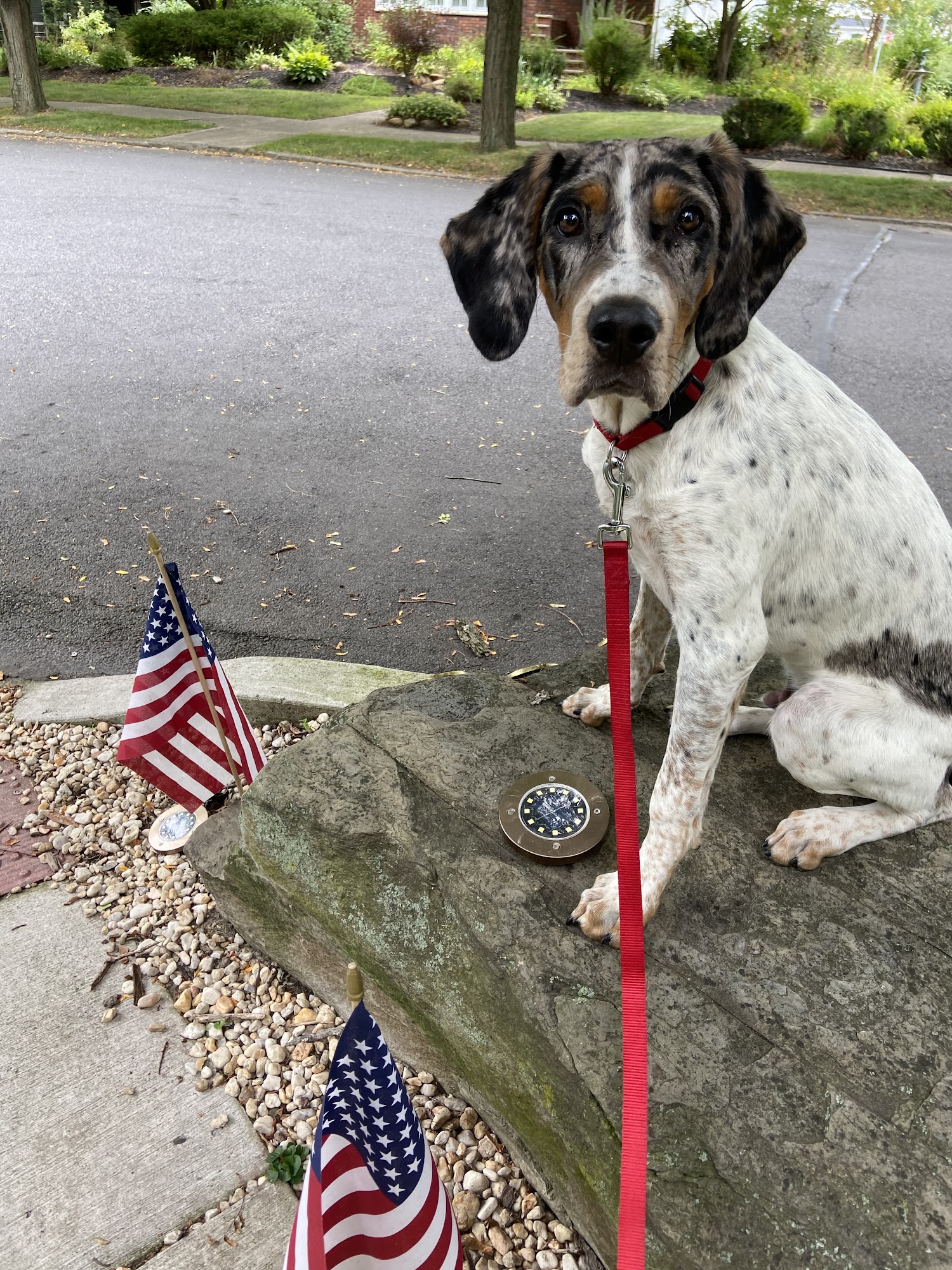 Maxwell's House Resort Pittston