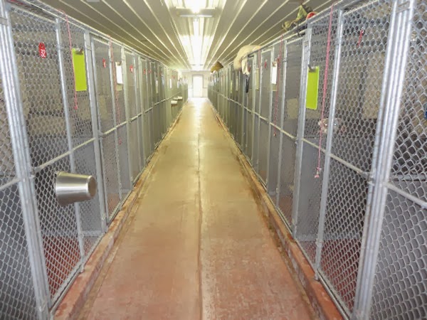 Acorn Valley Pet Boarding Quakertown