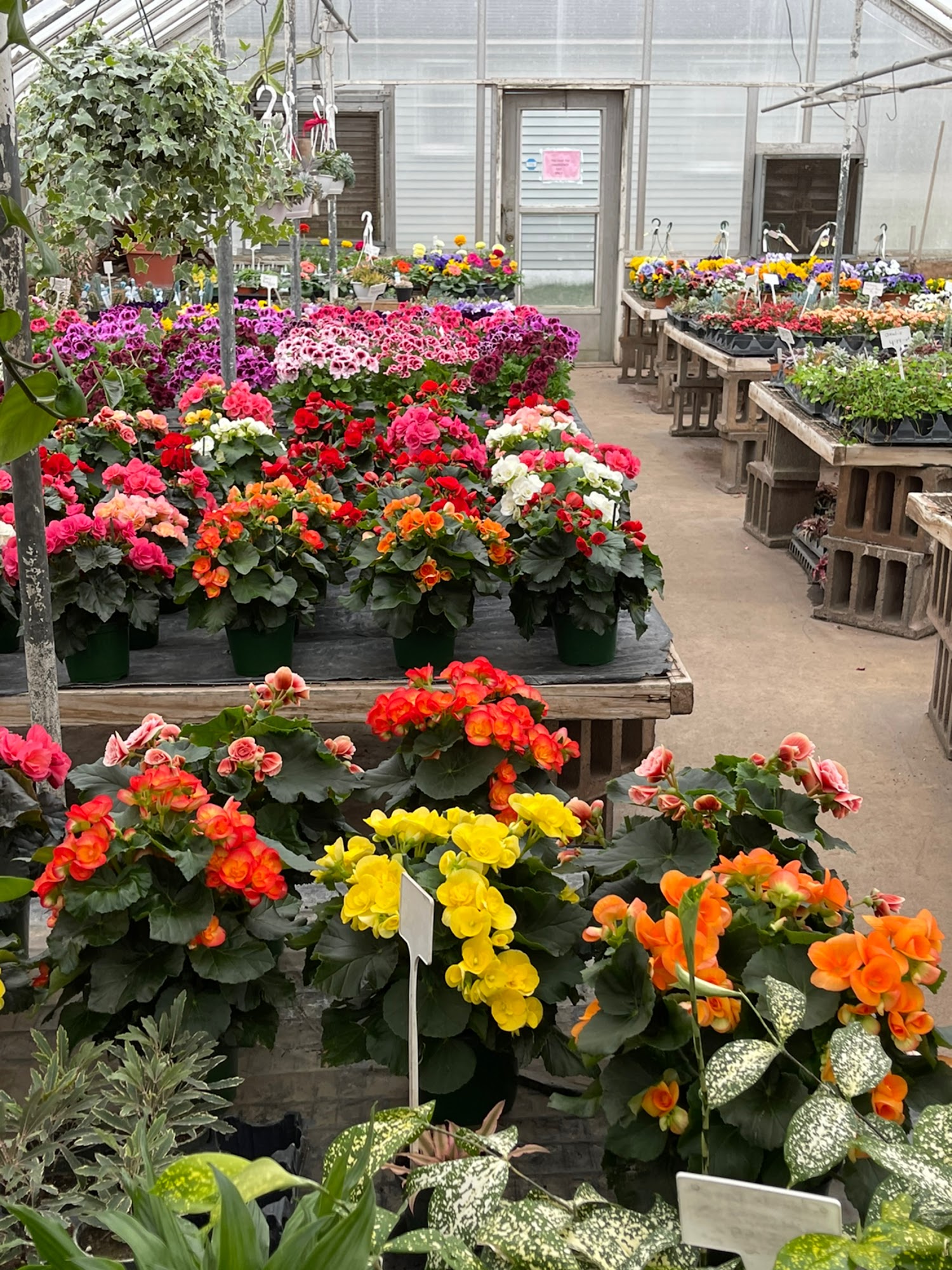 Red Hill Greenhouses & Florist 1006 Main St, Red Hill Pennsylvania 18076
