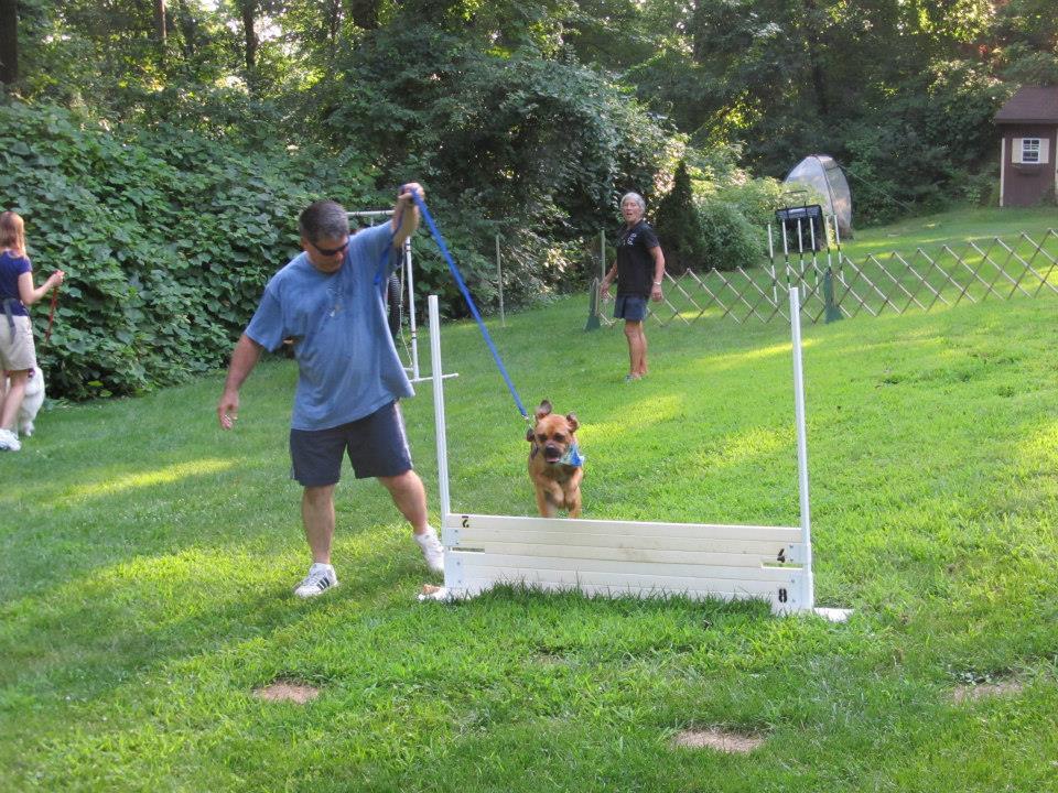 Help Your Dog Succeed 175 Golf Ridge Rd, Reinholds Pennsylvania 17569