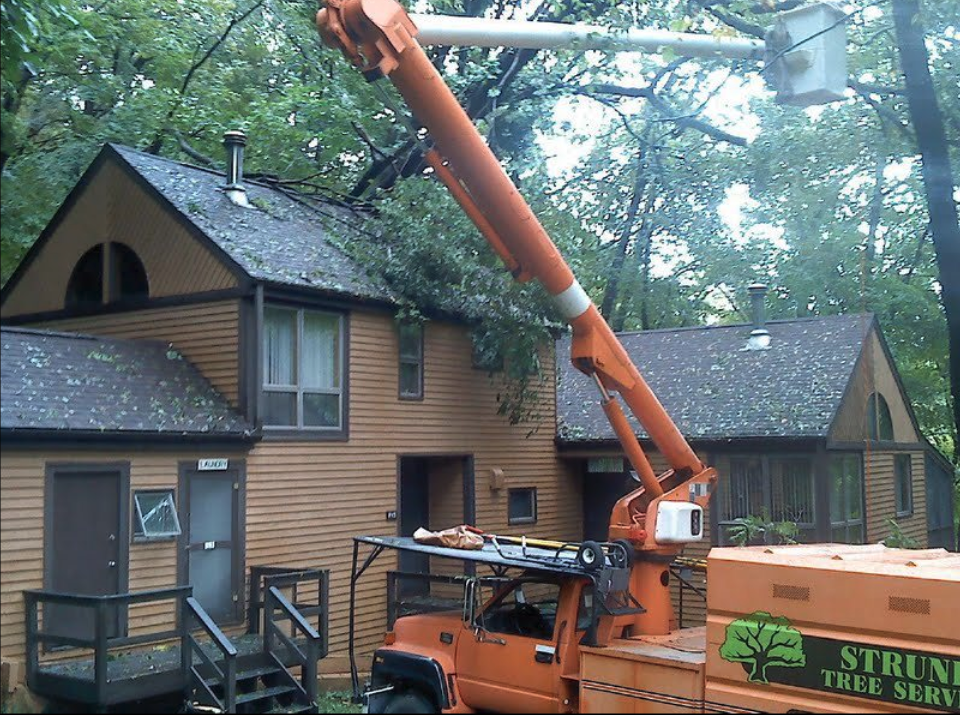 Strunk Tree Service, Inc.