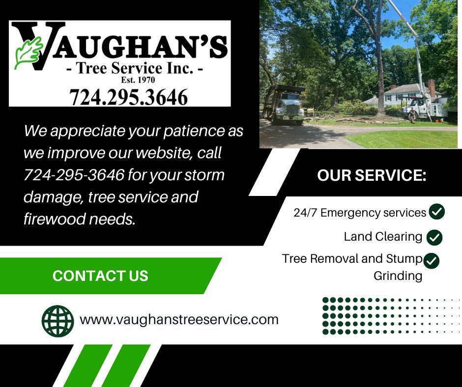 Vaughan's Tree Services 13 Conroy Way, Tarentum Pennsylvania 15084