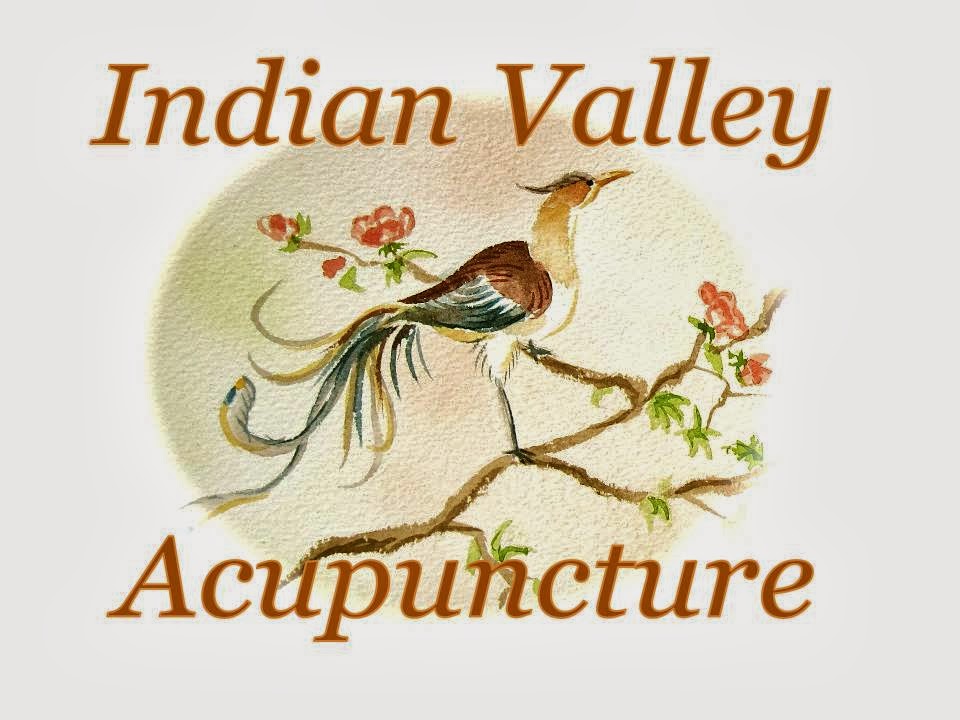 Indian Valley Acupuncture 4023 Bethlehem Pike, Telford Pennsylvania 18969