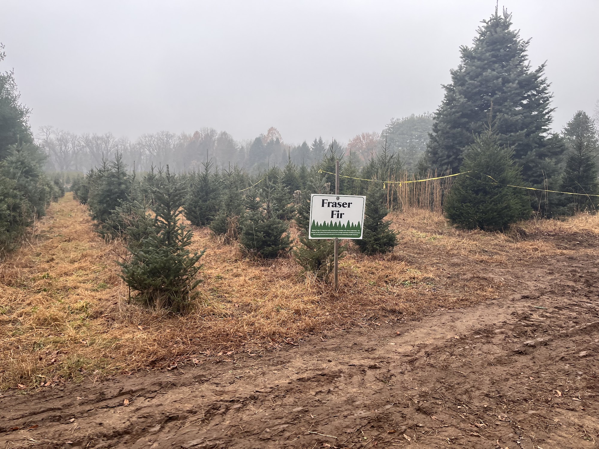 Thee Tree Farm 735 River Rd, Watsontown Pennsylvania 17777