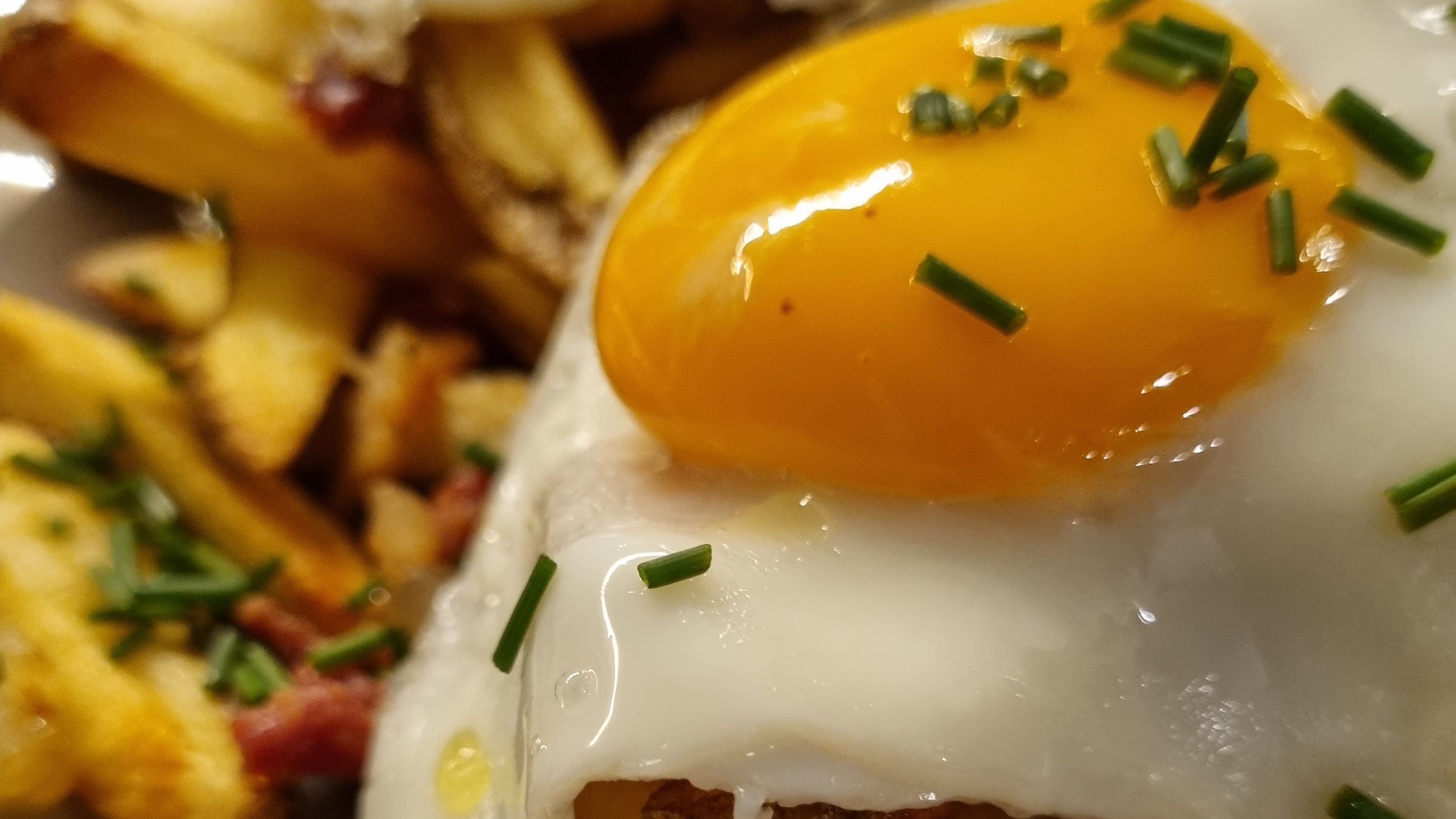 Photo credit: thefork