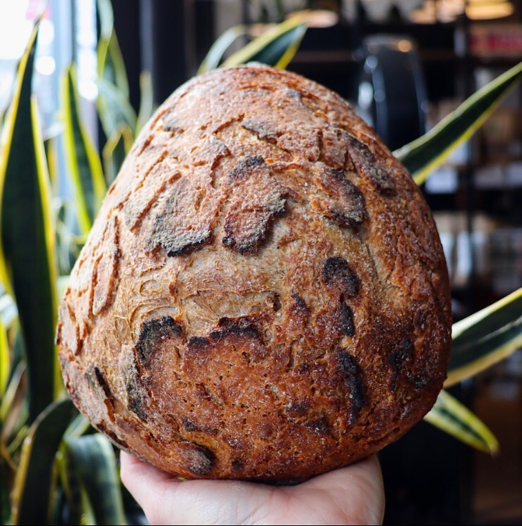 Boulangerie Le Toledo