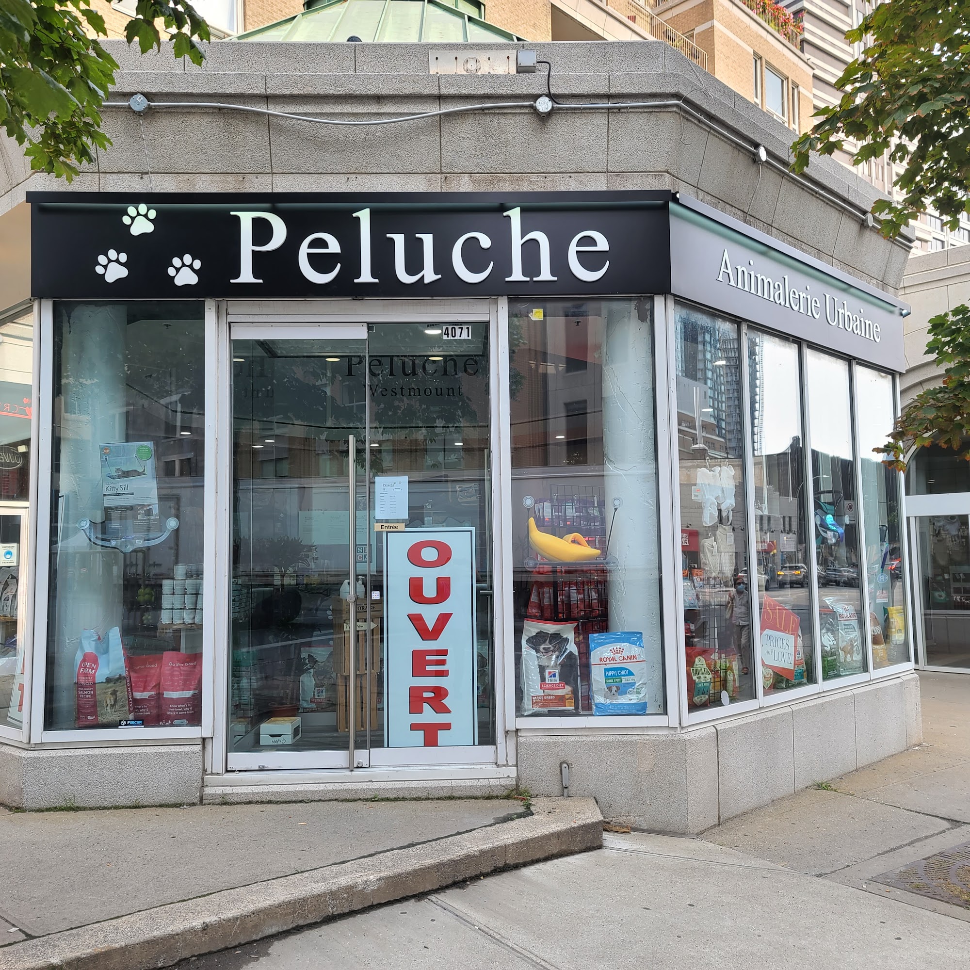 Peluche Westmount