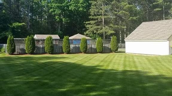 J&D Landscaping & Lawn Care Inc.