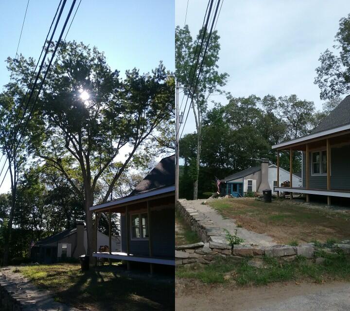 Carrier Tree Service, LLC Chopmist Hill Rd, North Scituate Rhode Island 02857