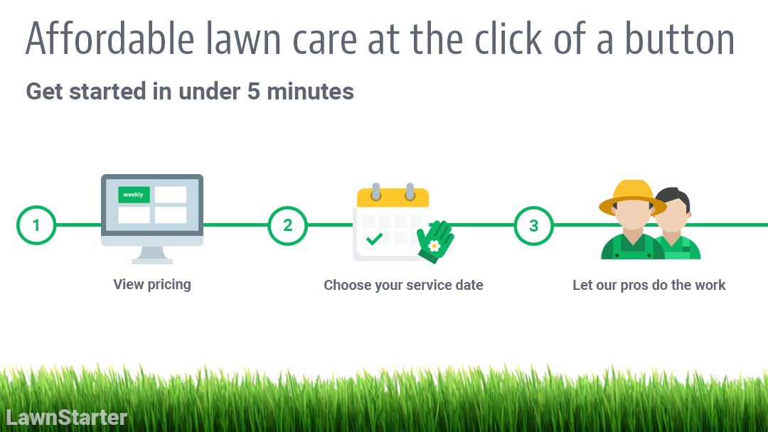 LawnStarter Lawn Care Service