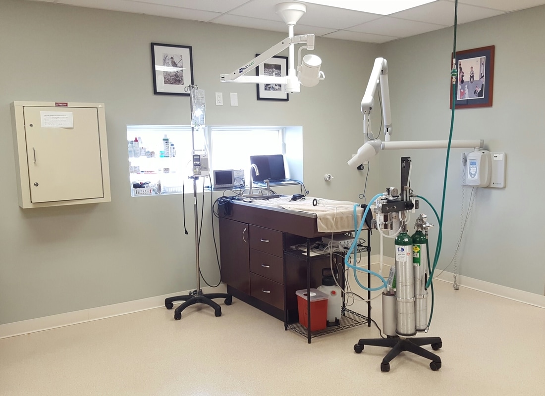 Harbor Animal Hospital Warren