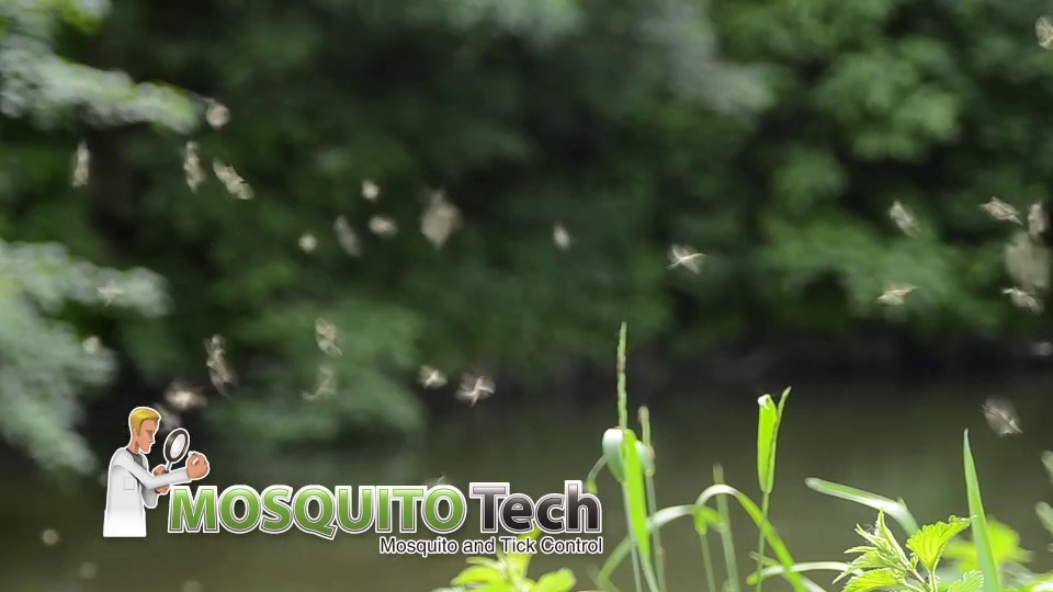 Mosquito Tech