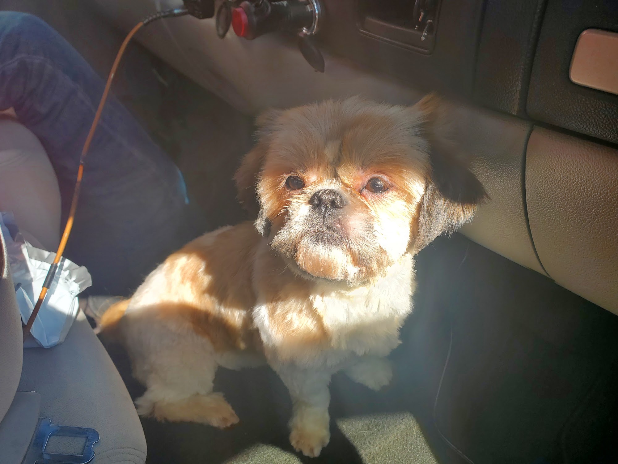 Bark O' Lot Dog Spa Aiken