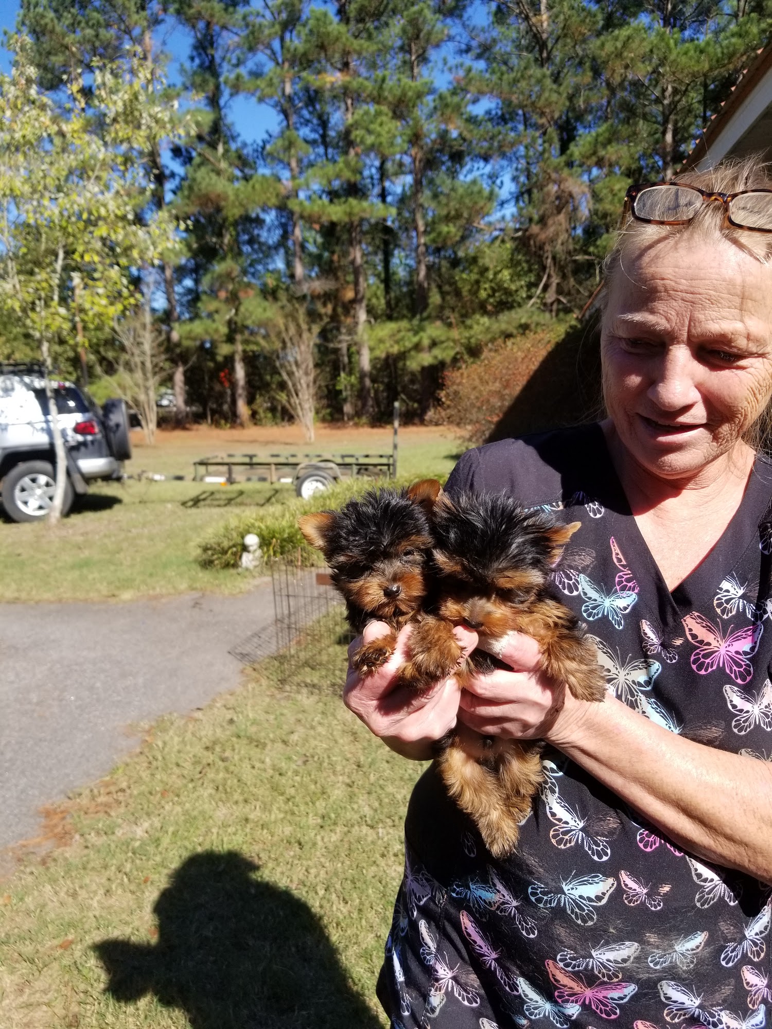 La Pooch Grooming Salon Aiken