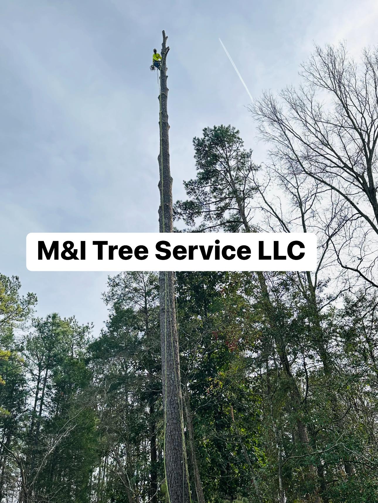 M & L Tree Service