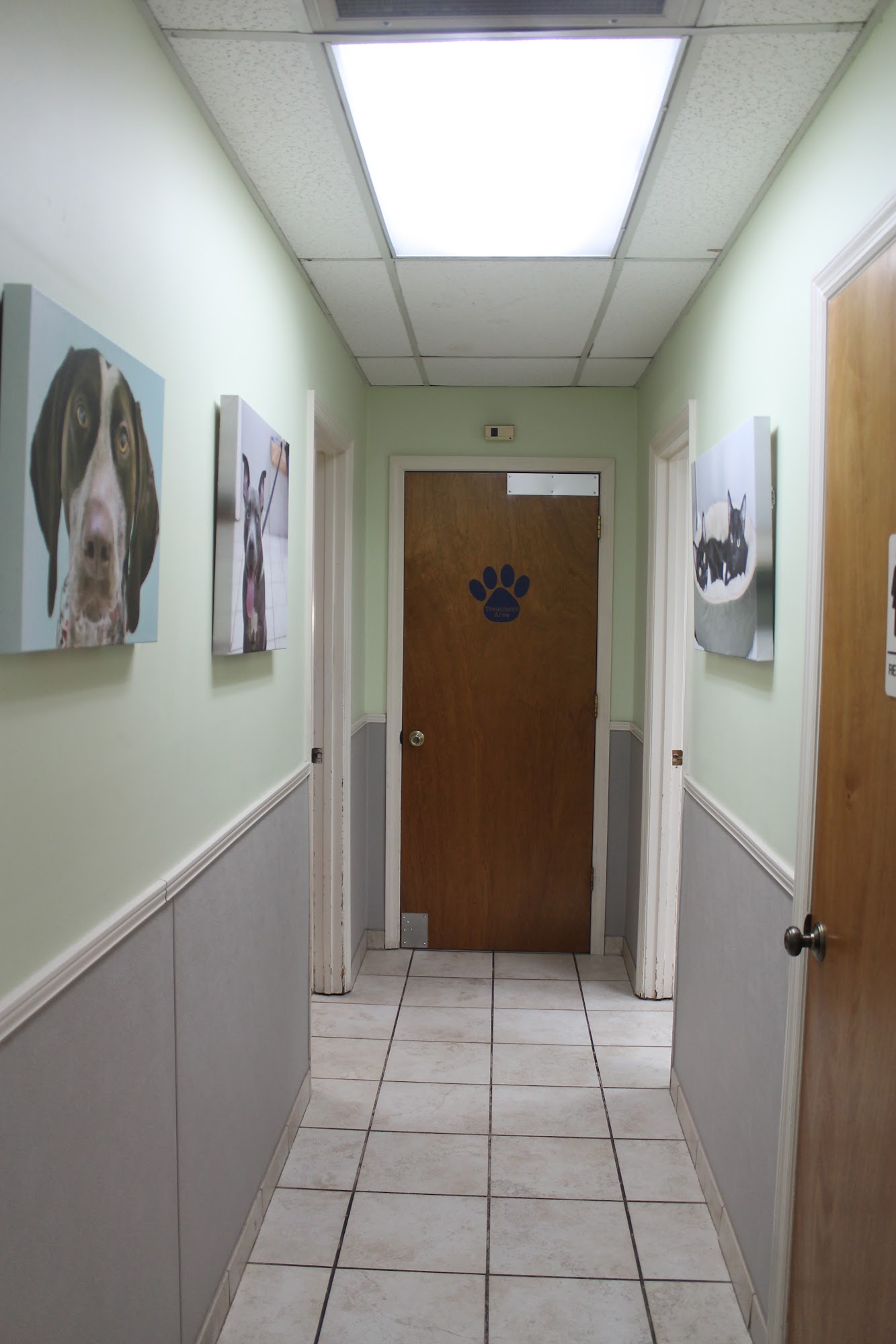 Northwoods Veterinary Clinic