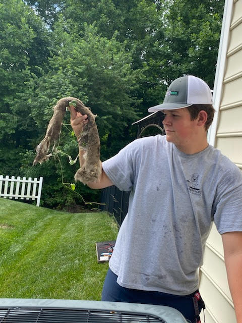Photo credit: nextdoor
