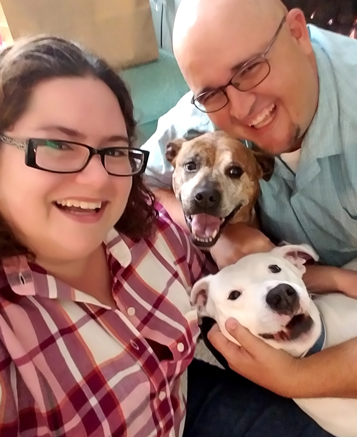 Carolina Pet Resort LLC Columbia